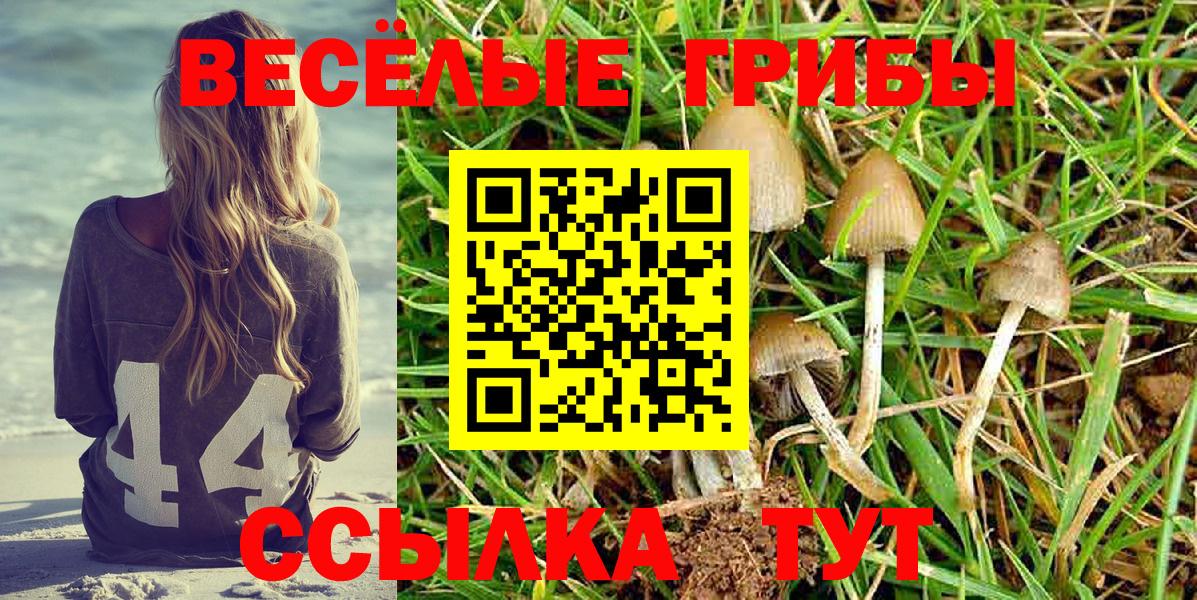 Галлюциногенные грибы GOLDEN TEACHER Чебаркуль